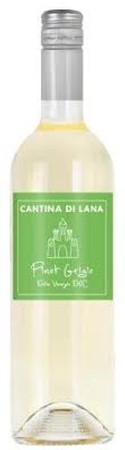 2023 Cantina di Lana Pinot Grigio delle Venezia (Italy)